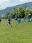 zur Diashow