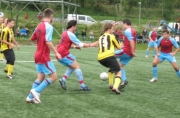 schlins1b_tisis1b.jpg