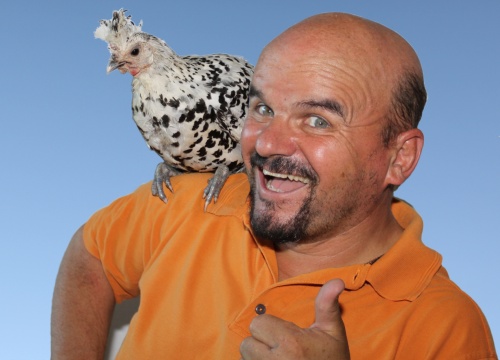 bluatschink_Huhn_Portrait_gr